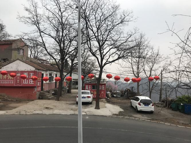 博山姚家峪茶叶产业概况