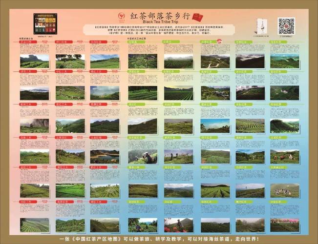 1.品牌背景