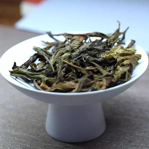 茶叶泡出来跟树叶一样？解析茶叶泡水后的变化