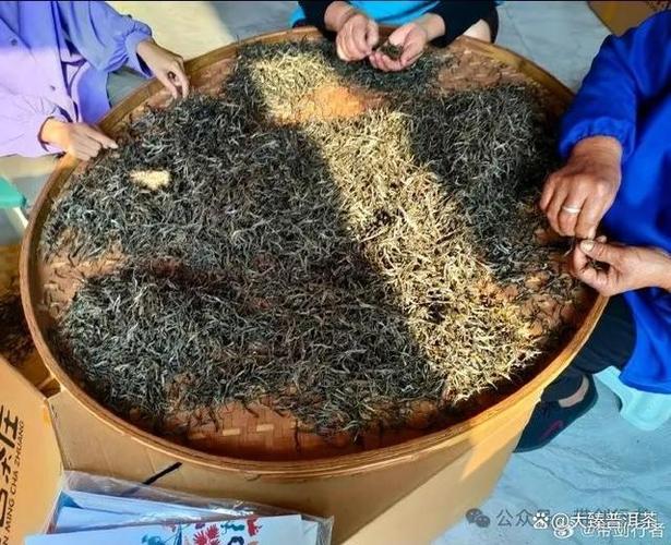 茶叶行业：如何避免茶叶价格混乱？