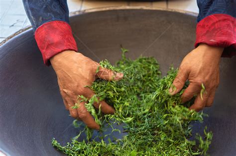茶叶怎么制作视频