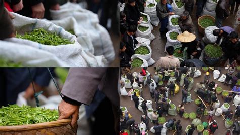 芳村茶叶交易市场