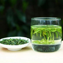 浙江省发展茶叶种植的自然条件
