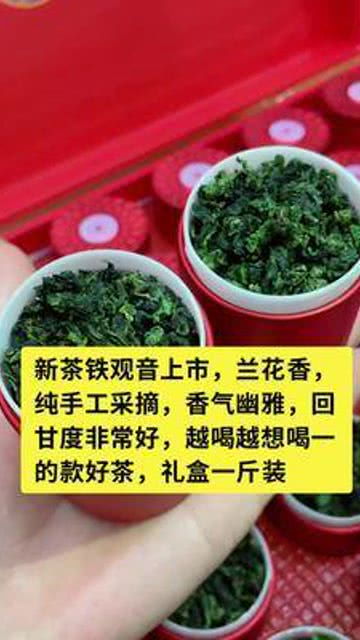 铁观音批发市场在哪里