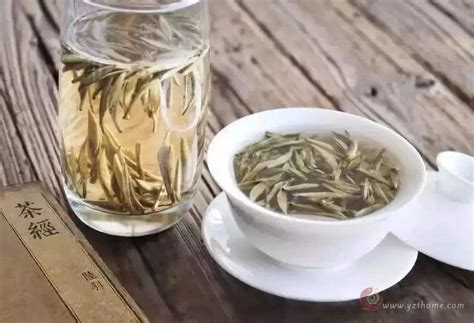 普通茶叶多少钱一斤