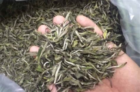 散装茶叶销售需要什么证件