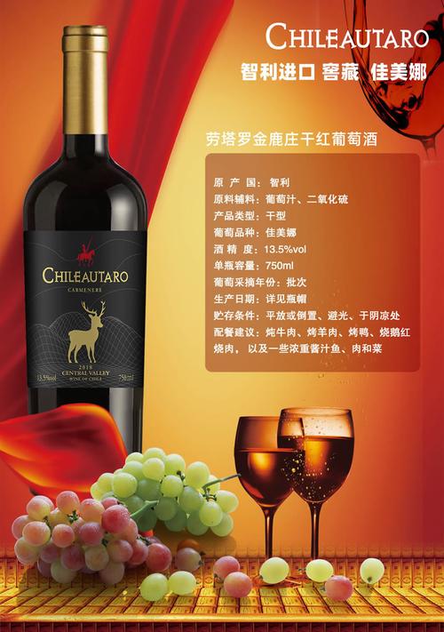 智利葡萄酒集团