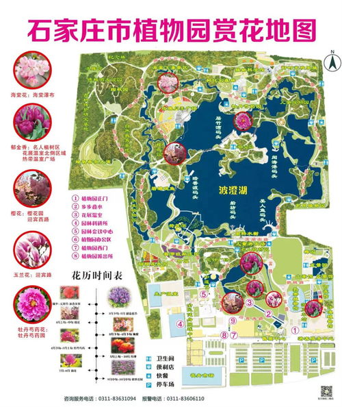 餐饮选址的主要原因