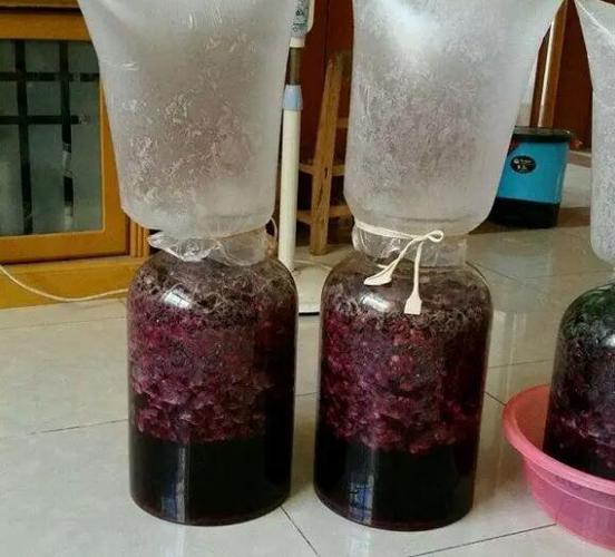 自酿红酒多久才能喝醉人