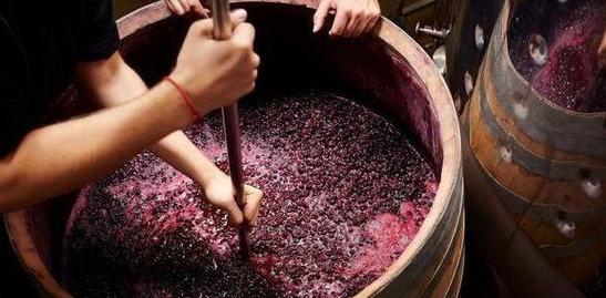 白糖加红酒可以减肥吗