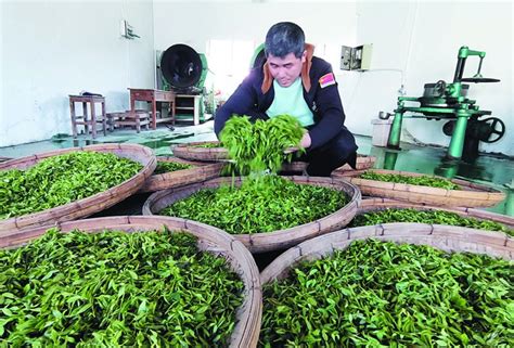 茶叶摆摊模式