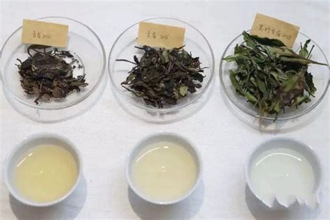 茶叶泡出来金黄色