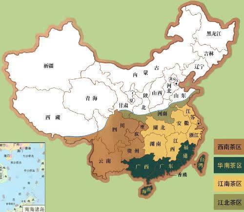 茶叶出水是什么意思