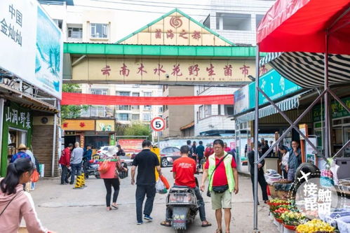 福州茶叶批发市场地址