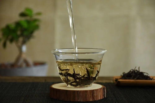 茶叶没有泡沫正常吗为什么