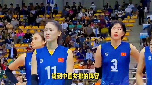 上海明日之星排球争霸赛将于月日开赛