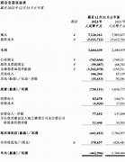 财华社集团年度业绩分析亏损收窄中的挑战与机遇