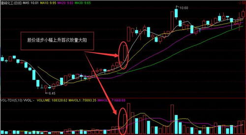 挪用资金炒股获利要追缴吗