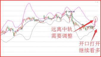 紫金矿业拟派发中期股息每股元