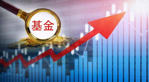 基金经理持续超配科创板