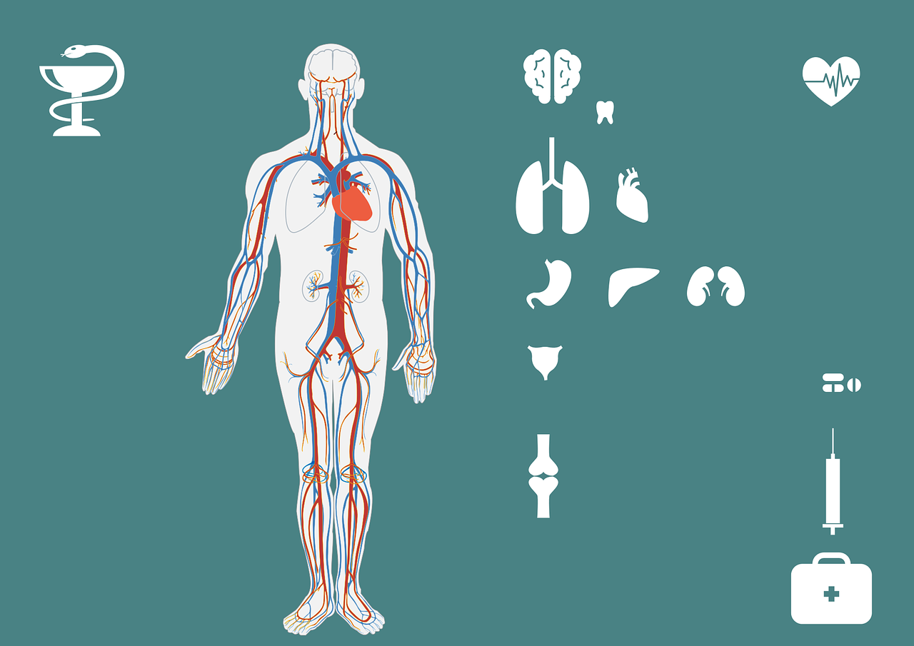揭秘氨基葡萄糖，关节健康的守护者与科学真相